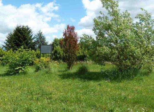 Le parc arboré