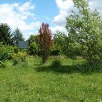 Le parc arboré
